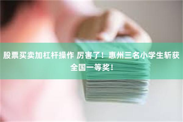 股票买卖加杠杆操作 厉害了！惠州三名小学生斩获全国一等奖！
