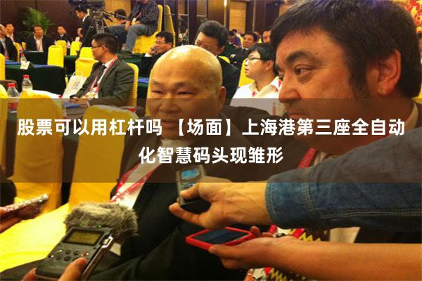 股票可以用杠杆吗 【场面】上海港第三座全自动化智慧码头现雏形
