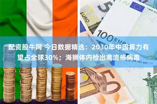 配资股牛网 今日数据精选：2030年中国算力有望占全球30%；海狮体内检出禽流感病毒