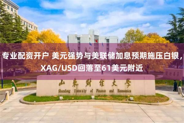 专业配资开户 美元强势与美联储加息预期施压白银，XAG/USD回落至61美元附近