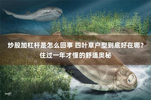 炒股加杠杆是怎么回事 四叶草户型到底好在哪？住过一年才懂的舒适奥秘