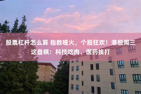 股票杠杆怎么算 指数哑火，个股狂欢！港股周三这盘棋：科技吃肉、医药挨打