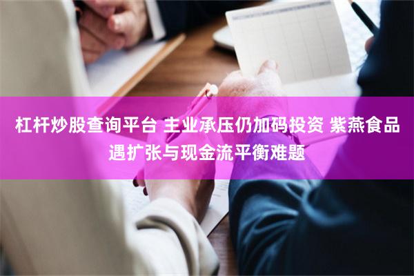 杠杆炒股查询平台 主业承压仍加码投资 紫燕食品遇扩张与现金流平衡难题