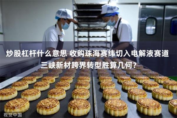炒股杠杆什么意思 收购珠海赛纬切入电解液赛道 三峡新材跨界转型胜算几何？