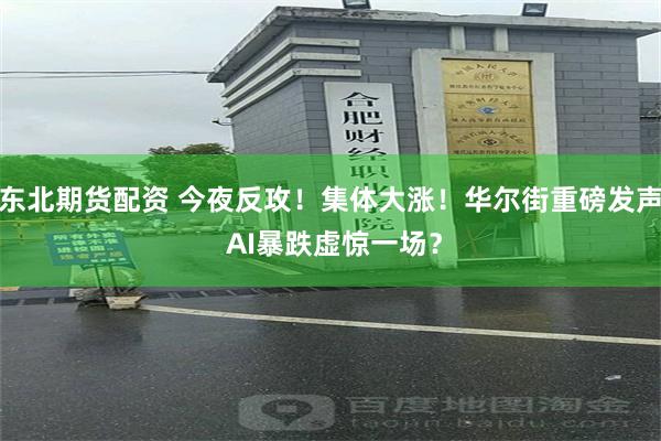 东北期货配资 今夜反攻！集体大涨！华尔街重磅发声 AI暴跌虚惊一场？