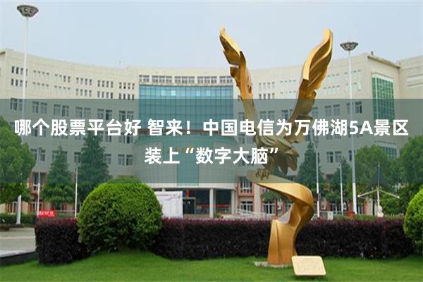 哪个股票平台好 智来！中国电信为万佛湖5A景区装上“数字大脑”